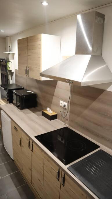 Maison Atypique, Centre-Ville 2+2 Pers Sauna Ir Sedan Eksteriør billede